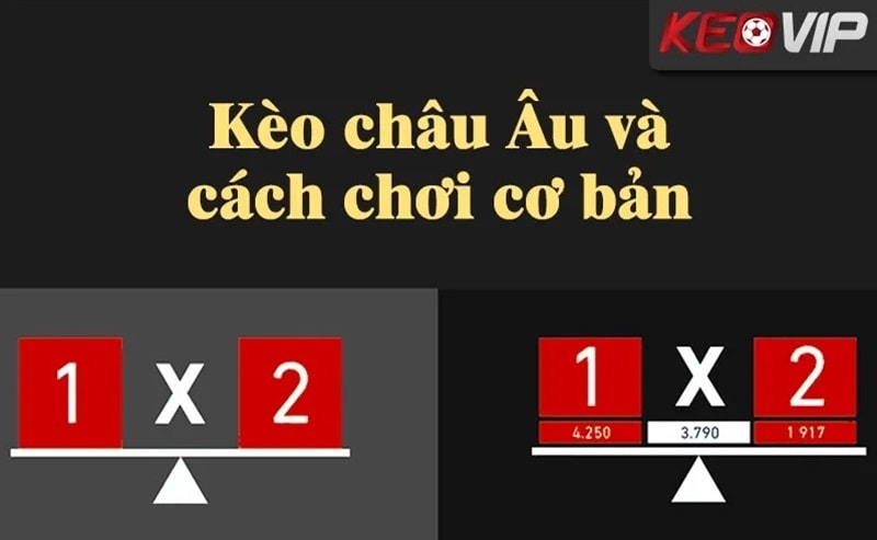 Giới thiệu đôi nét về tỷ lệ kèo châu Âu