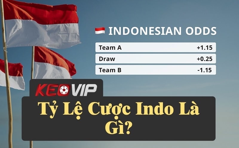 Tìm hiểu tỷ lệ cược Indo và cách áp dụng trong cá độ bóng đá