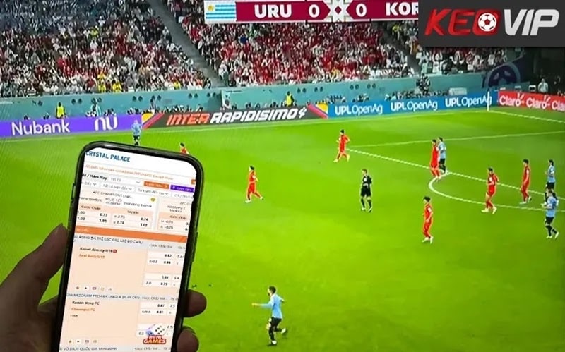 Kinh nghiệm cá cược hiệu quả với tỷ lệ cược Macau