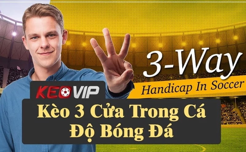 Cách bắt kèo 3 cửa bóng đá đỉnh nhất từ cao thủ kèo nhà cái